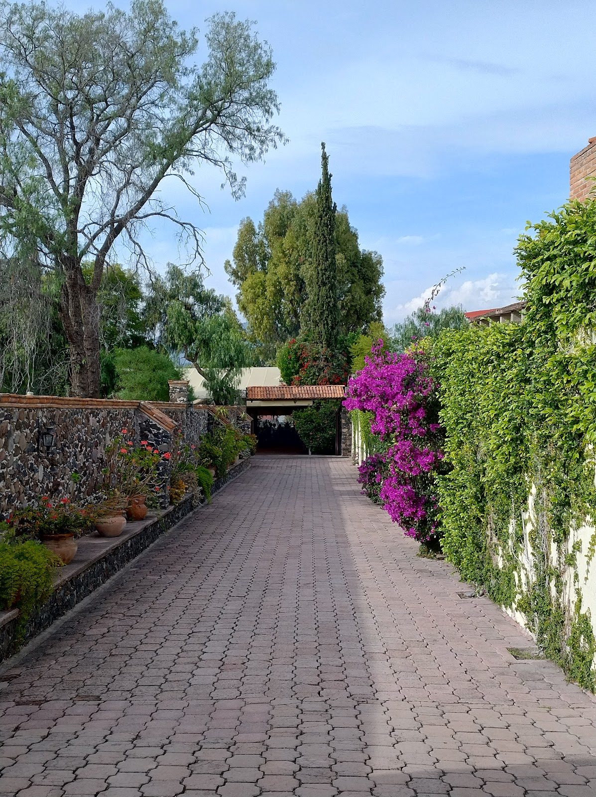 Andador de piedra con bugambilia hacia el acceso de la quinta